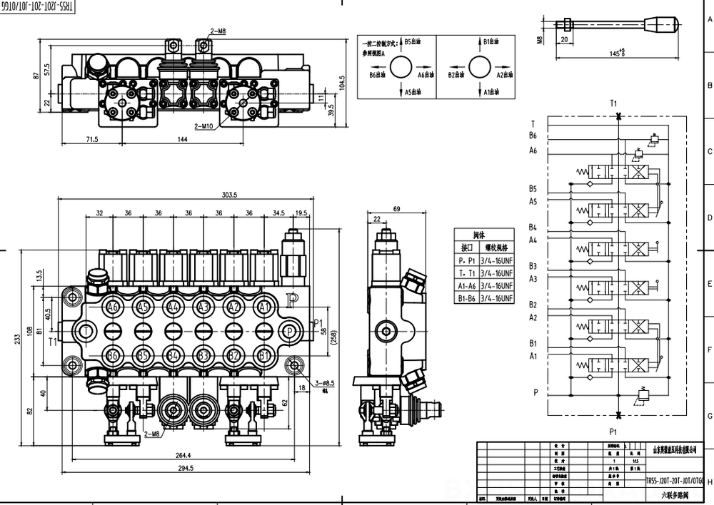 TR55 Manual e Joystick 6 carretéis Válvula direcional monobloco drawing image