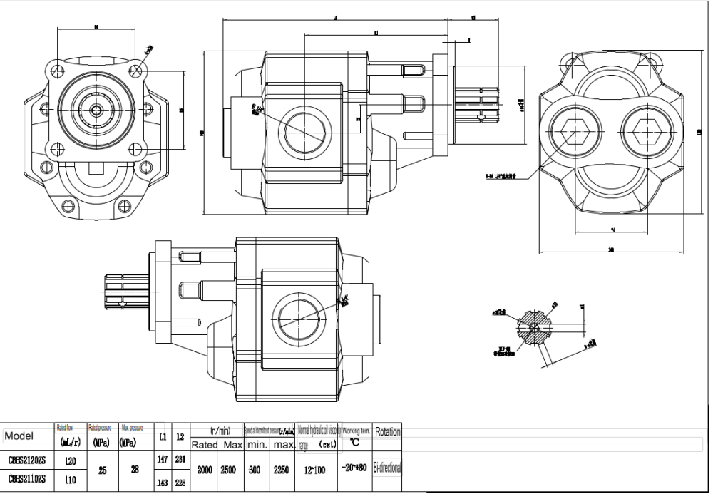 CBHST1-ISO-110 Deslocamento Bomba de engrenagem hidráulica drawing image