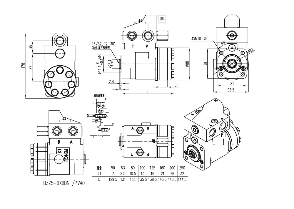 101S-5T-50-PV40 50 ml/r 5 L/min Unidade de Direção drawing image