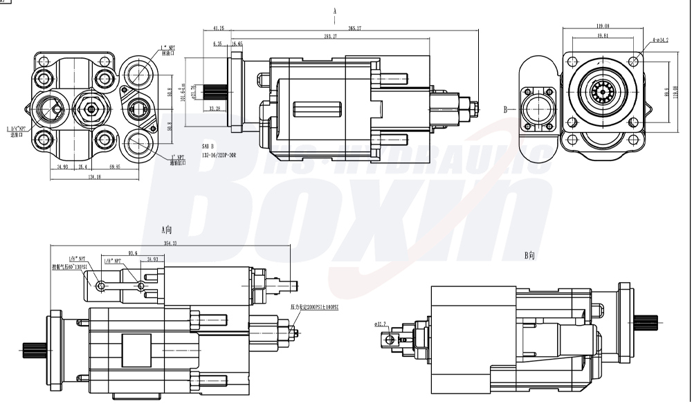 Bulk Purchase C102 Hydraulic Gear Pumps (112 cc/rev) - Factory Prices drawing image