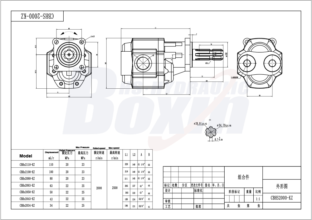 CBHST1-110-KZ 110 cc/rev Hydraulic Gear Pump for Industrial Machinery drawing image