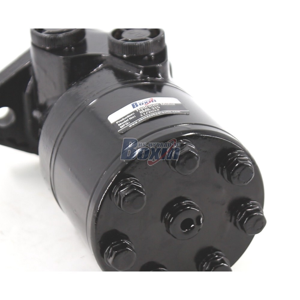 Bulk Supply BMR-315 Hydraulic Motor 315cc from Professional Factory detail image