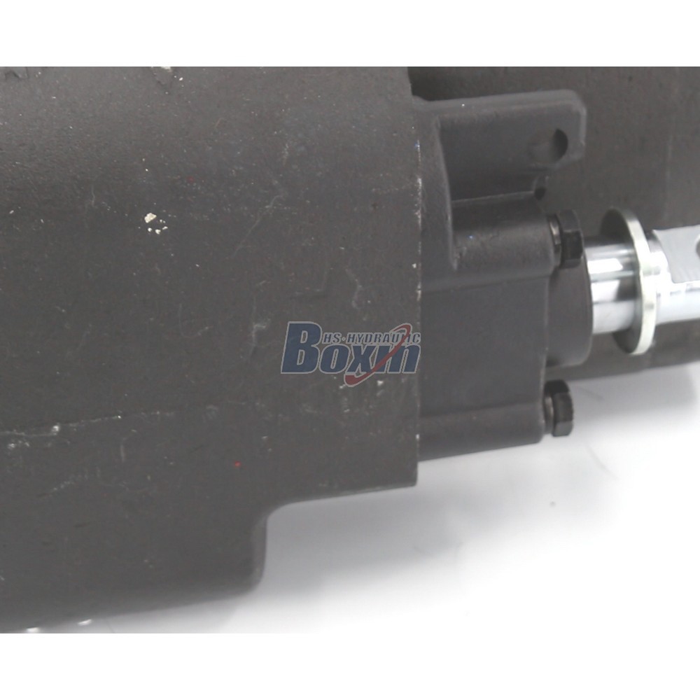 Customized OEM/ODM Solutions for C102-LMS-25 100 cc/rev Hydraulic Gear Pump detail image