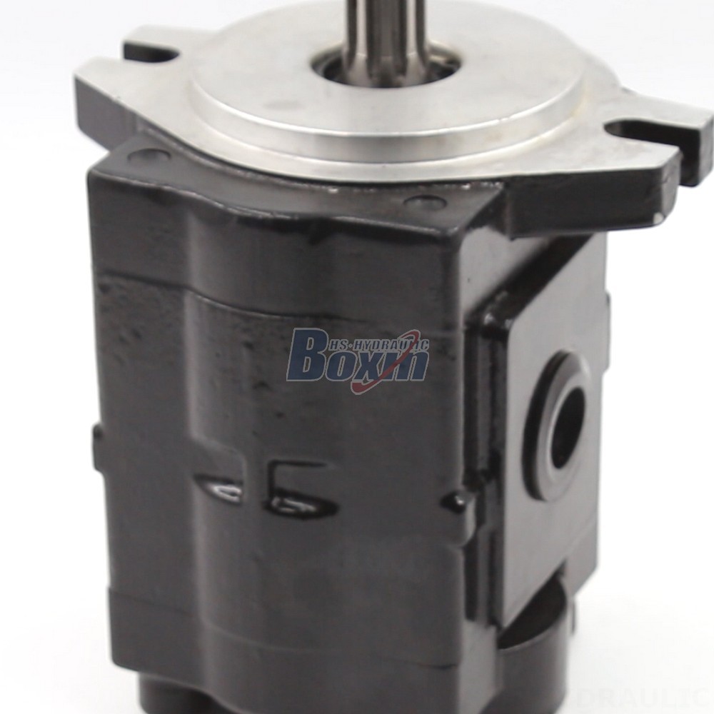 High-Performance Hydraulic Gear Pump - 20 cc/rev | Wholesale & OEM detail image