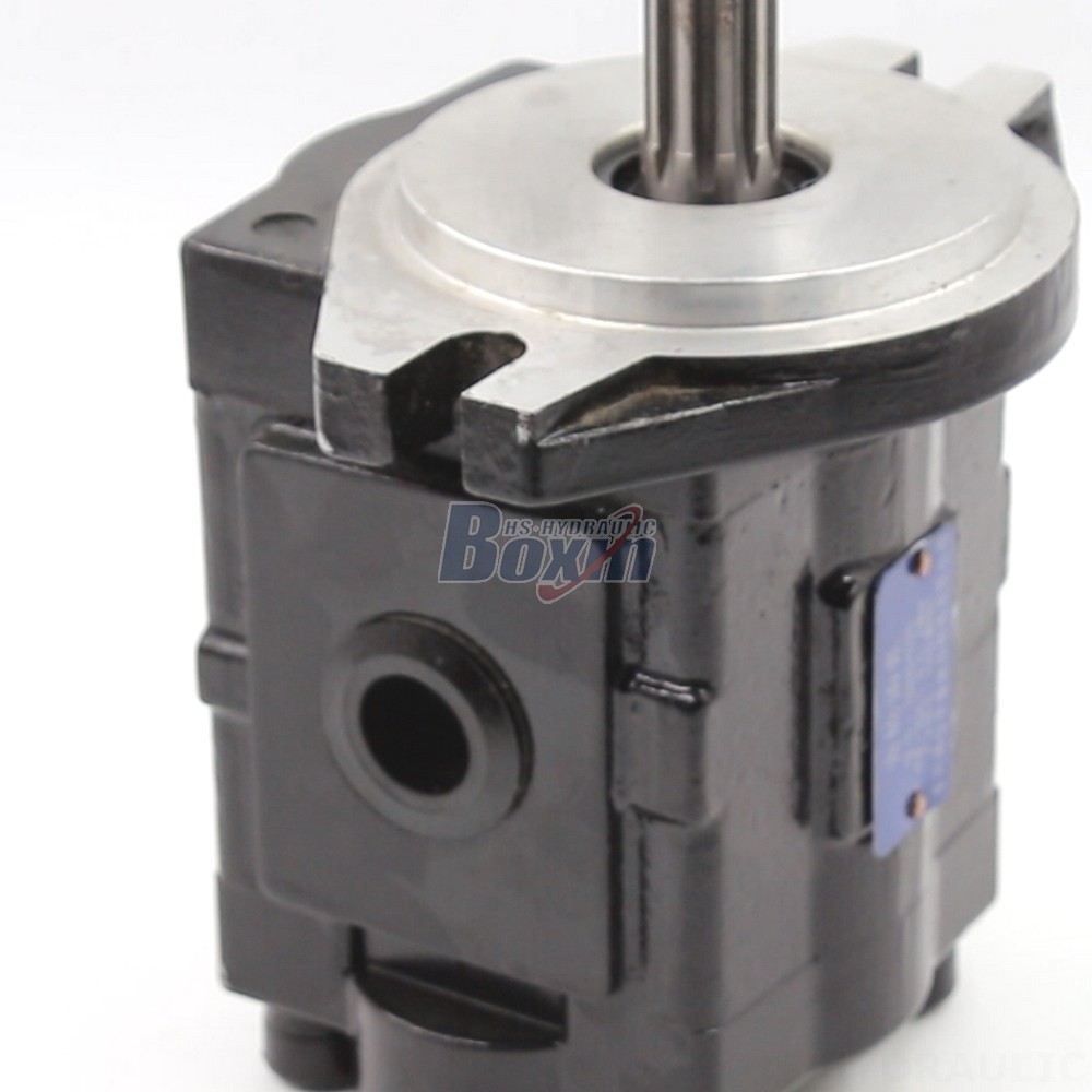 High-Performance Hydraulic Gear Pump - 20 cc/rev | Wholesale & OEM detail image