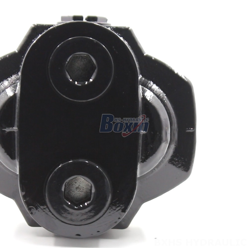 Manufacturer of CBHST1-UNI-63 Pumps: Wholesale & Customization Available detail image