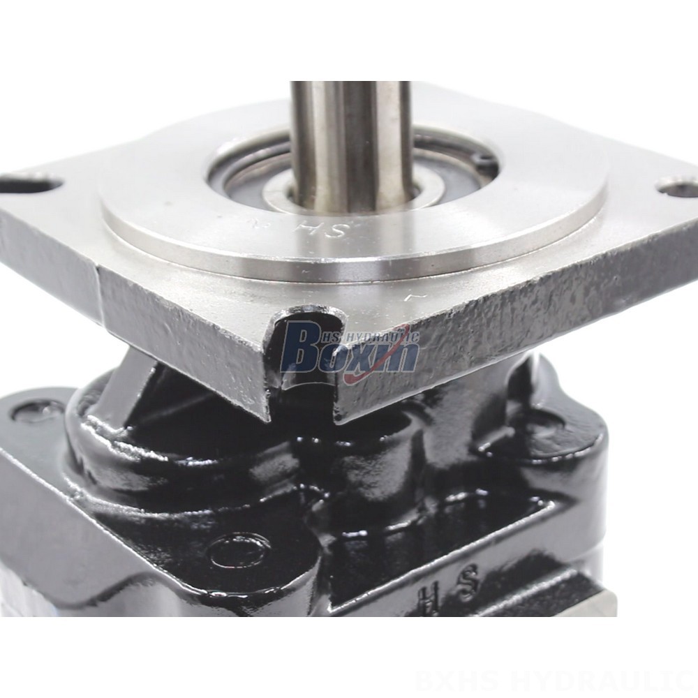 Partnership Opportunities: JHP2063 Hydraulic Gear Pump Manufacturing & Distribution detail image