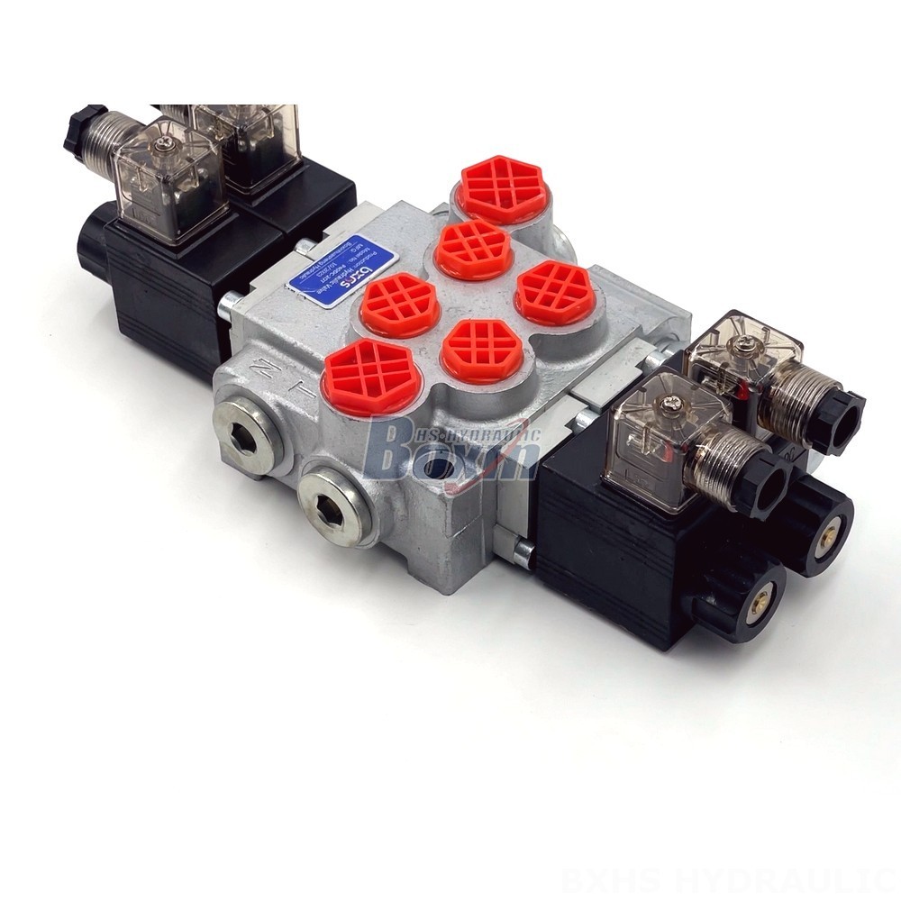 Manufacturer of P40-DKL Monoblock Valves: Wholesale & Customization Available detail image