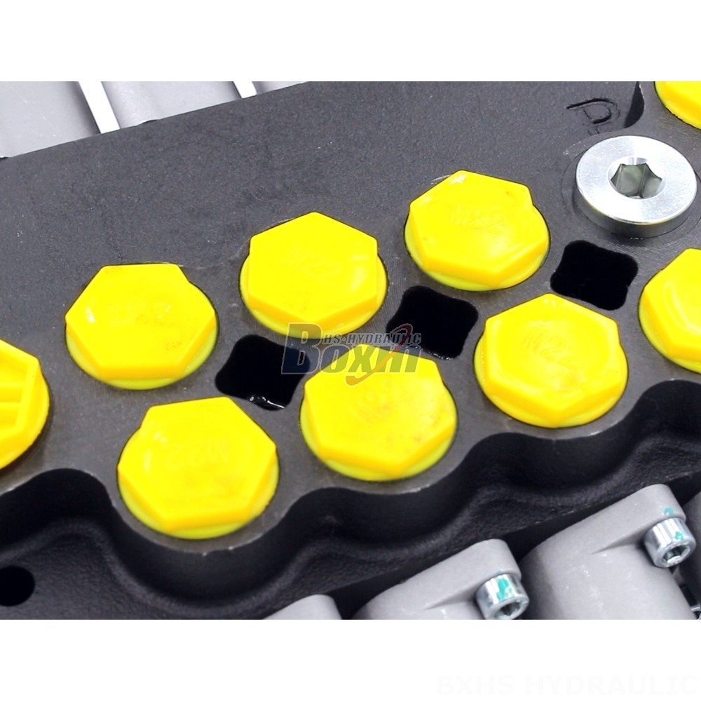 Personalized Hydraulic Valve Manufacturing: Partner with Us to Create Your Ideal P80-G34-G12-AT-3OT Valve detail image
