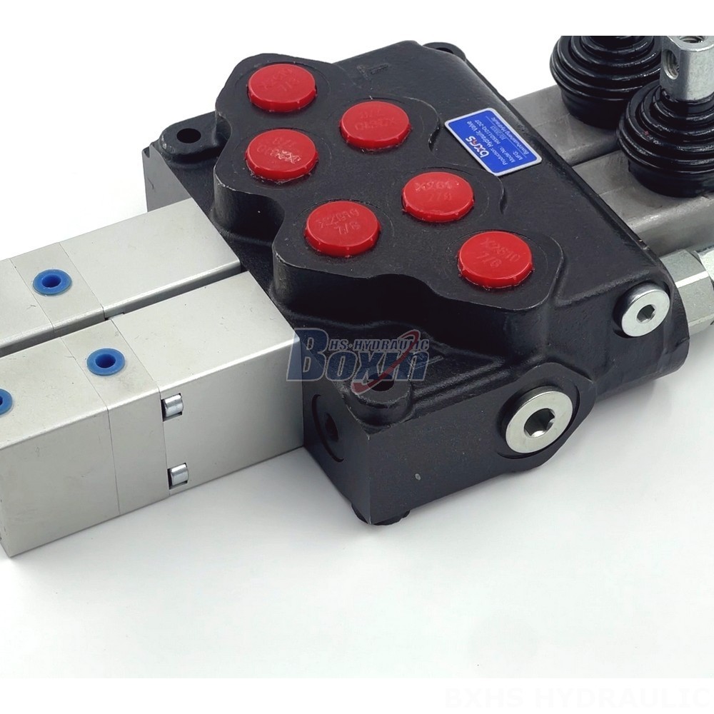 Manufacturer of SD11 Monoblock Valves: Wholesale & Customization Available detail image