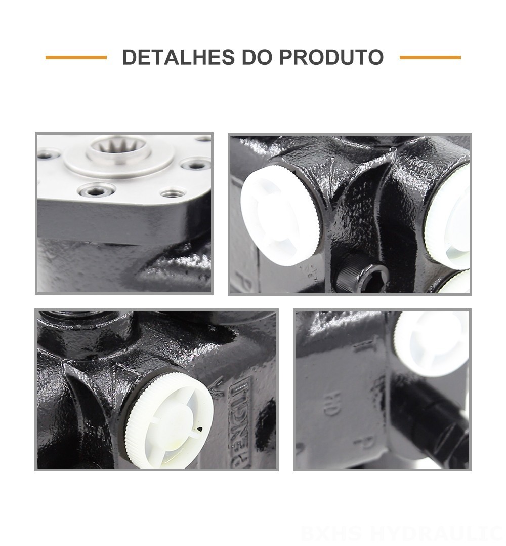 101S-5T-100-PV80 100 ml/r 10 L/min Unidade de Direção