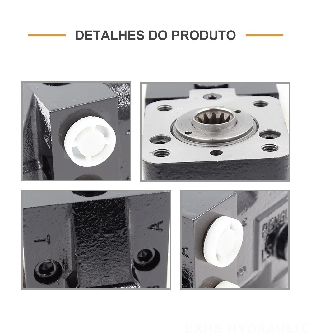 101S-5T-50-PV40 50 ml/r 5 L/min Unidade de Direção