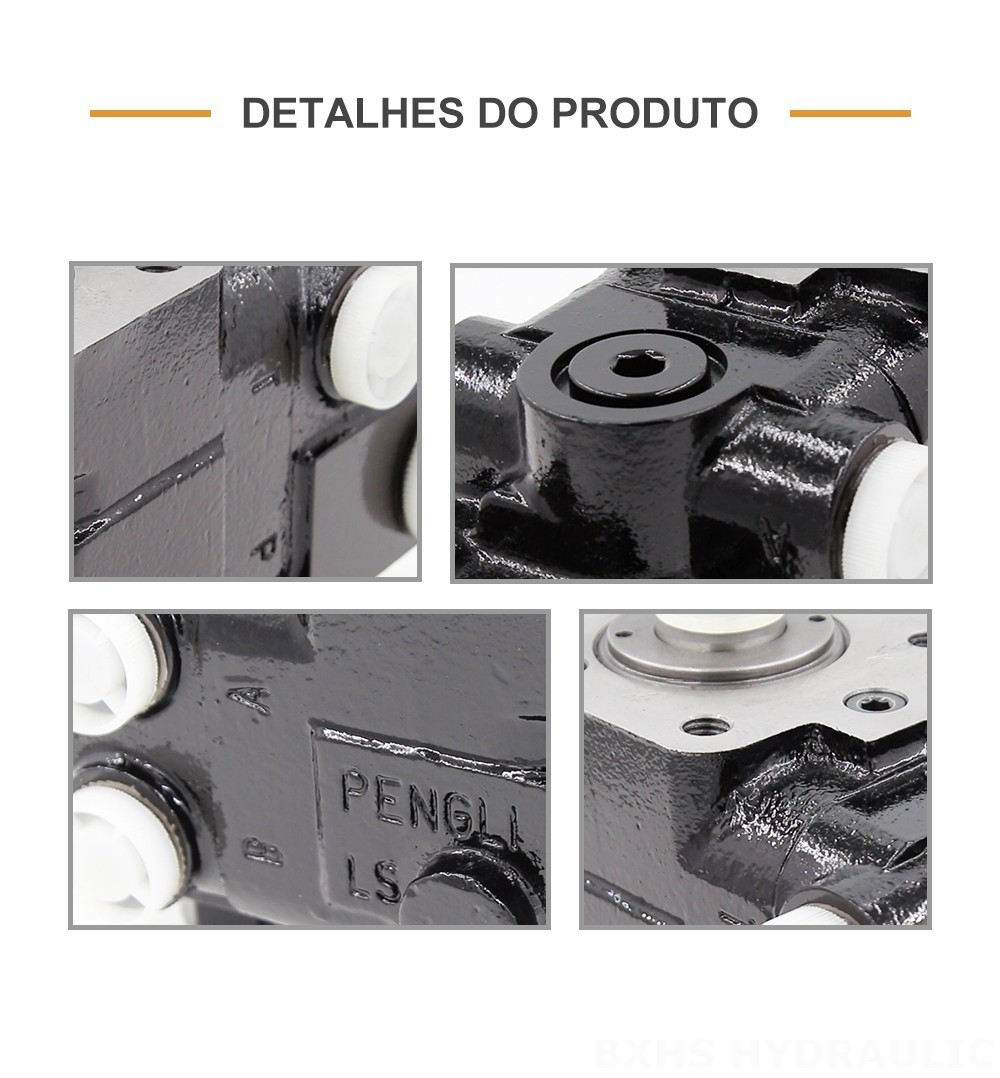 101S-5T-80-PV60 80 ml/r 8 L/min Unidade de Direção