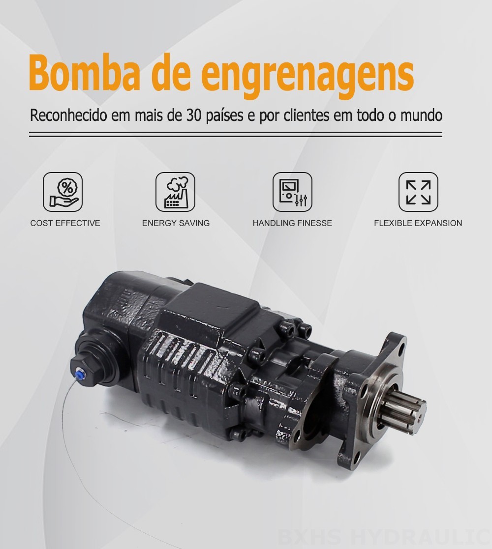 BF110A-ZF1 Deslocamento 20 MPa (2900 psi) Bomba de engrenagem hidráulica