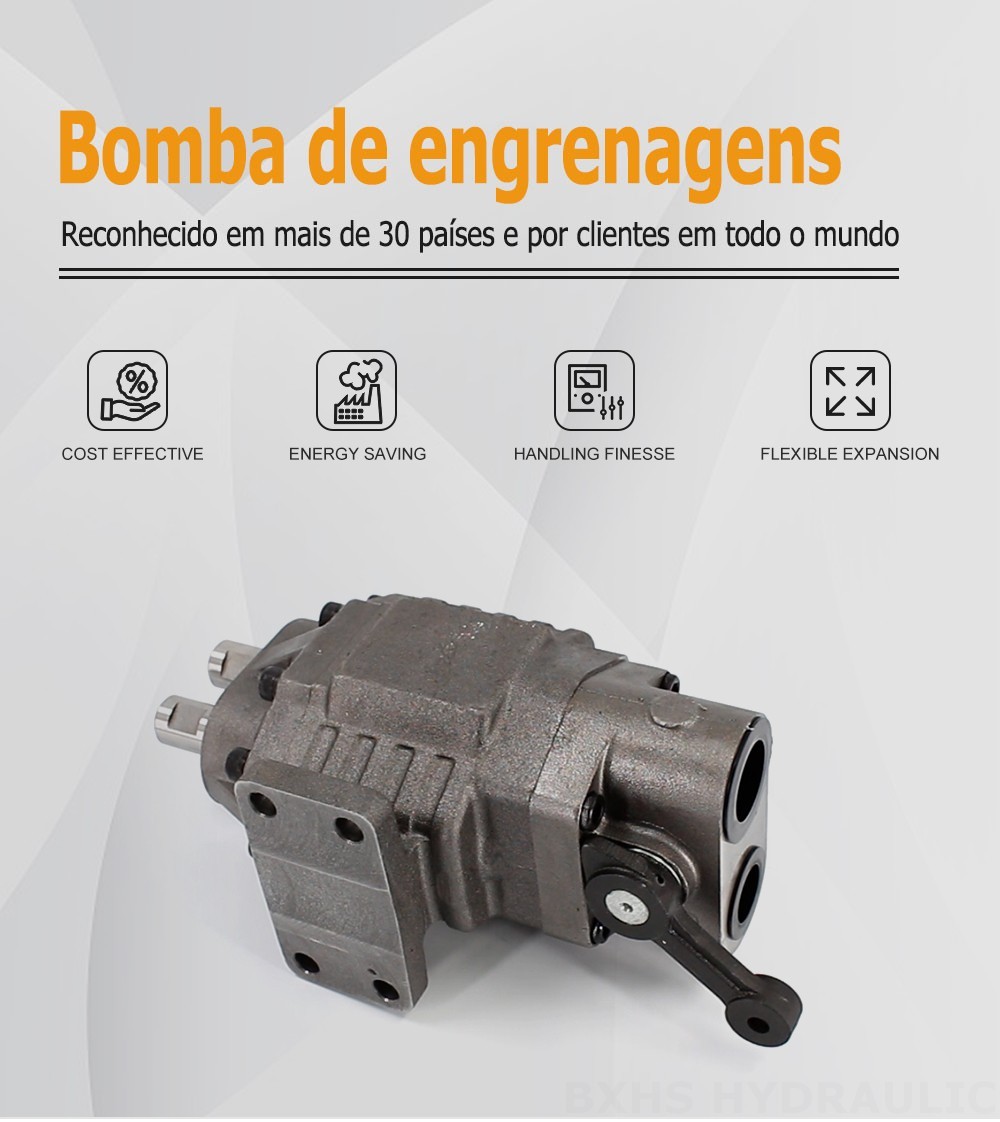 BF110M Deslocamento 20 MPa (2900 psi) Bomba de engrenagem hidráulica