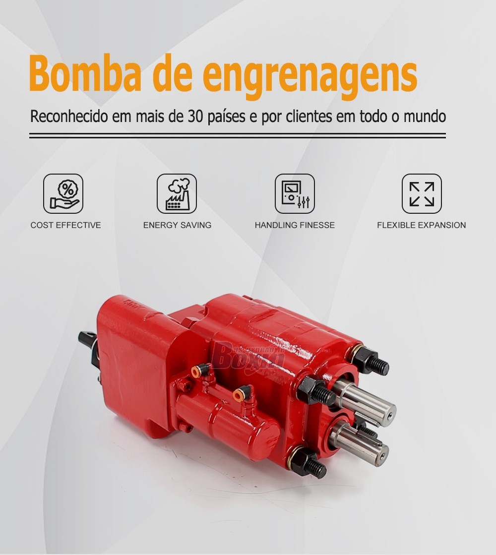 C101-25-AS-H 100 cc/rev Hydraulic Gear Pump for Industrial Machinery