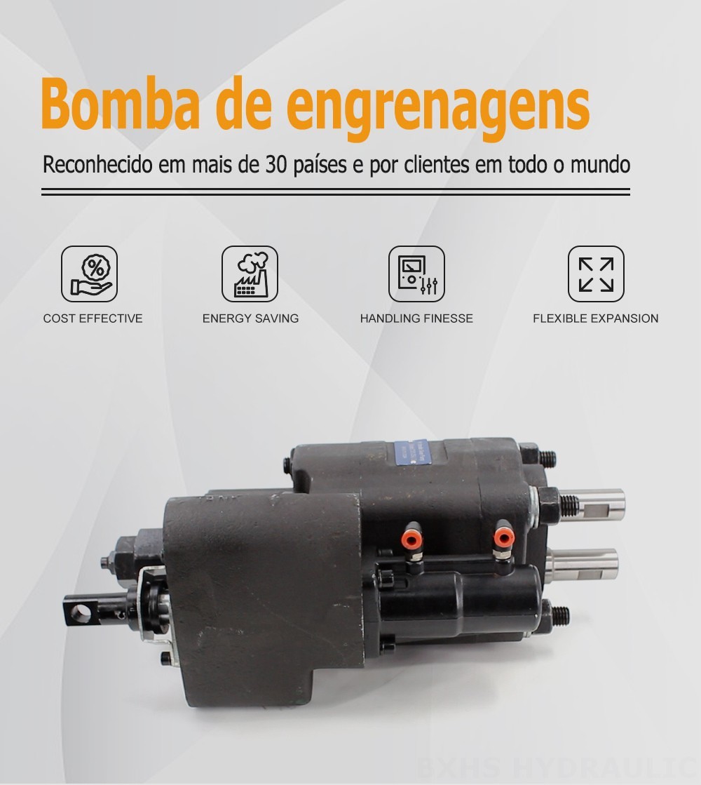 C101-25-LAS Deslocamento Bomba de engrenagem hidráulica