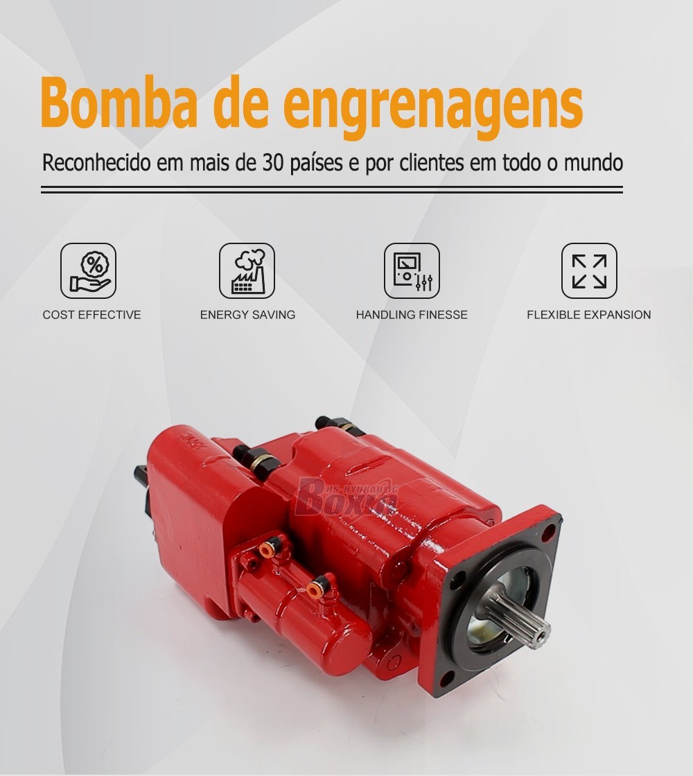 Durable C102-AS-25-H 100 cc/rev Hydraulic Gear Pump for Heavy Equipment