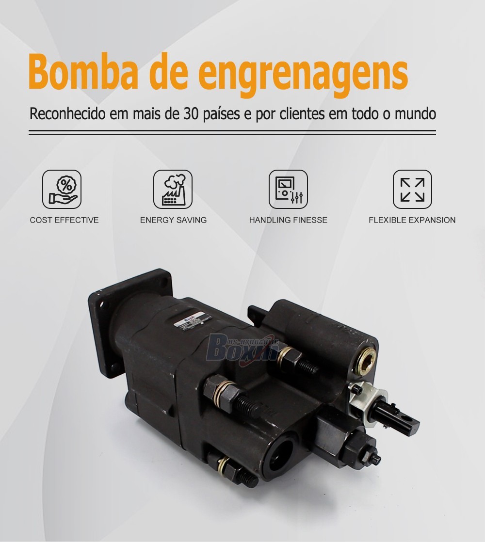 High Performance C102-LMS-25 100 cc/rev External Gear Pump