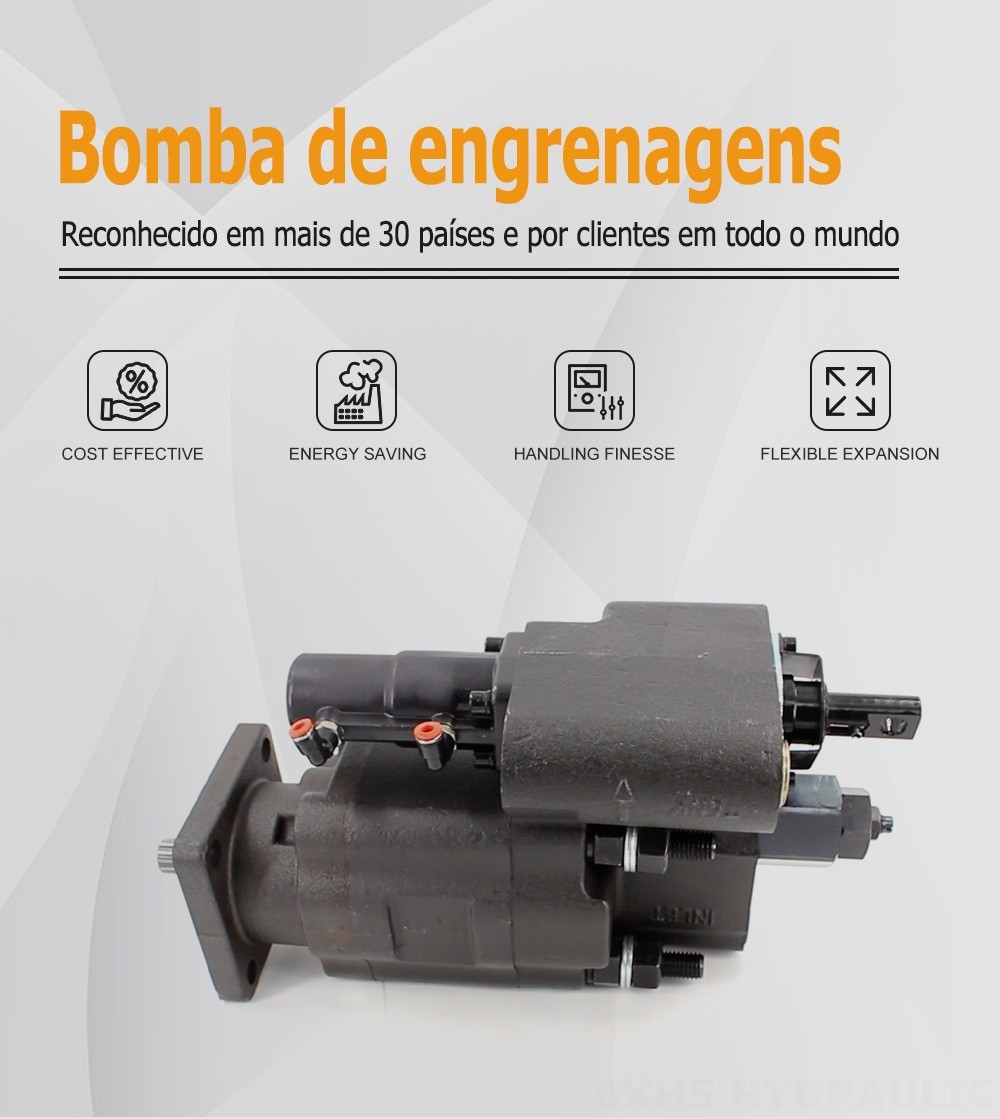 C102 Deslocamento Bomba de engrenagem hidráulica