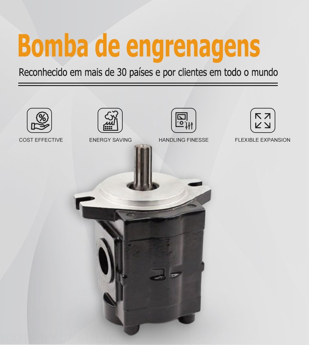 CBHS-C20 Deslocamento Bomba de engrenagem hidráulica