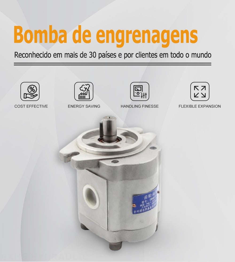 CBHS-F316 Deslocamento Bomba de engrenagem hidráulica