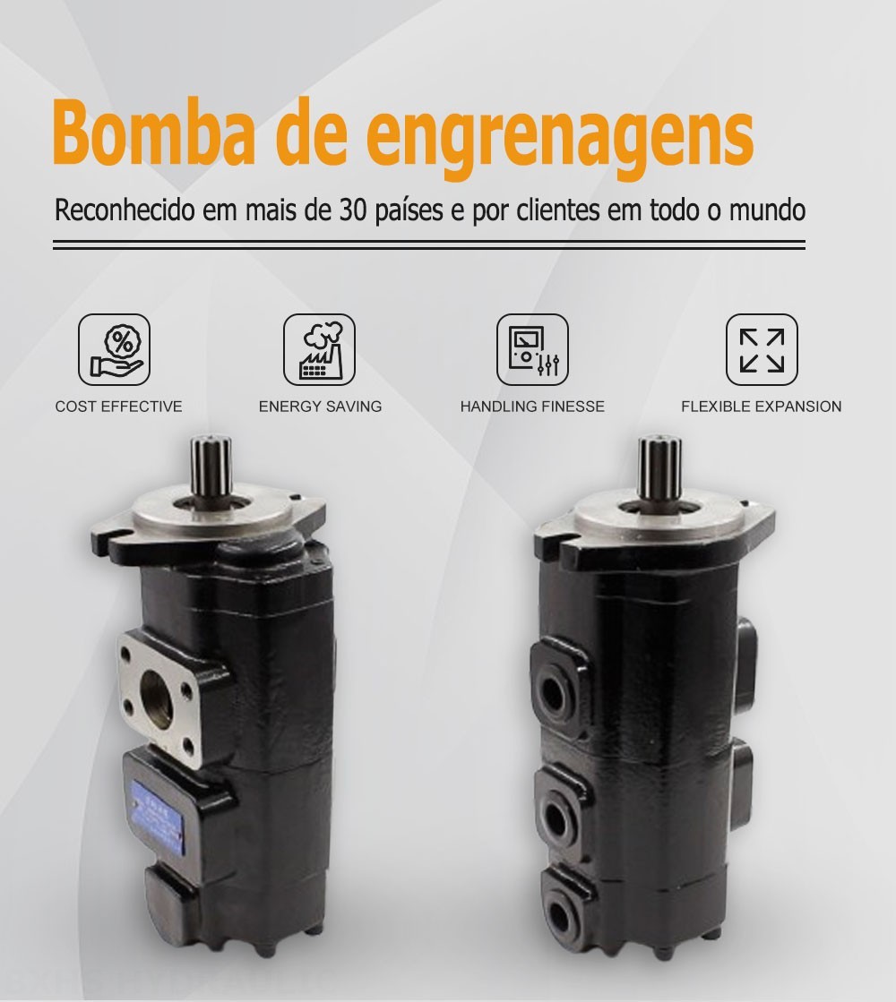 CBHS-F420 Deslocamento Bomba de engrenagem hidráulica