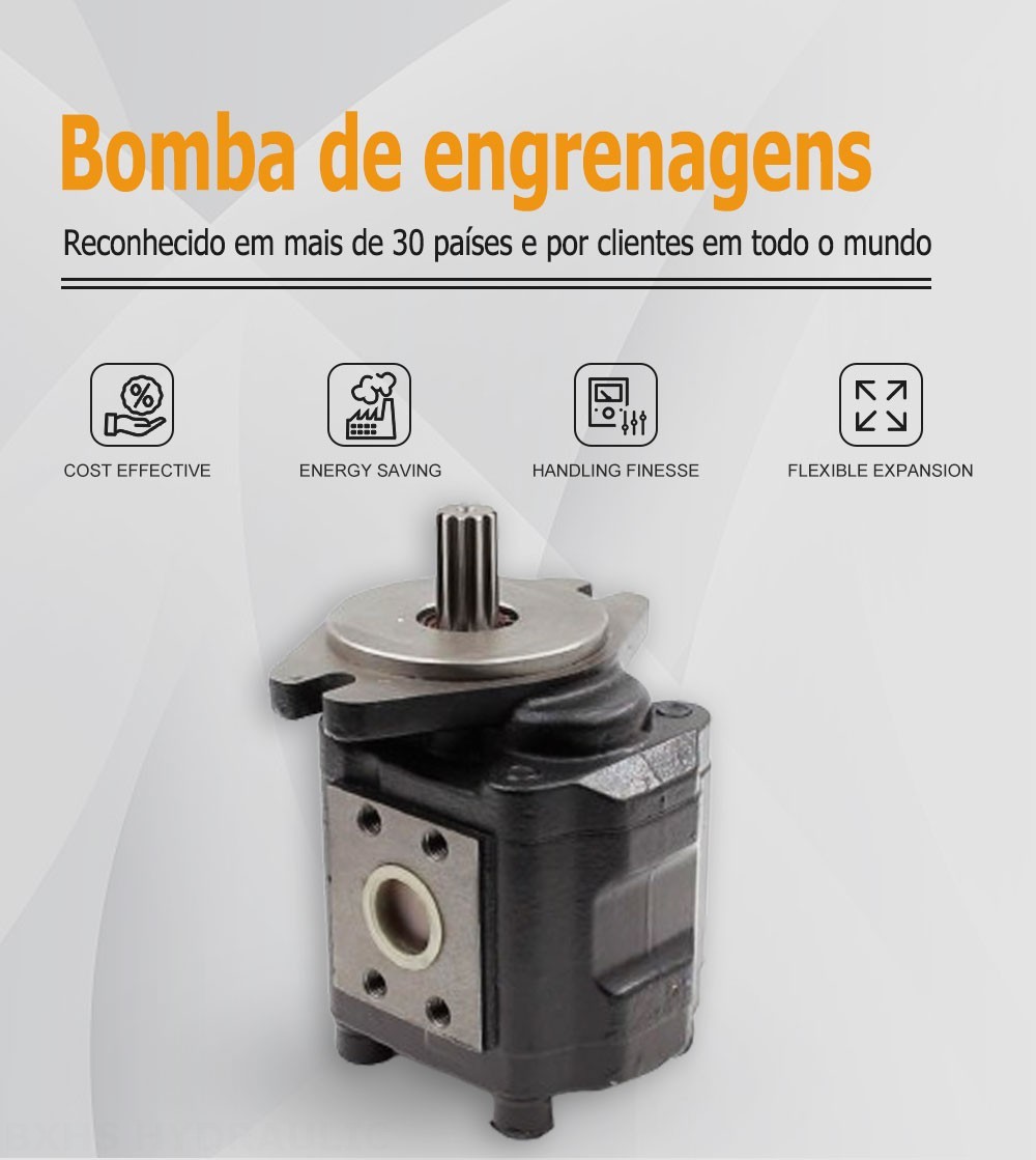 CBHS-F425 25 cc/rev Bomba de engrenagem hidráulica