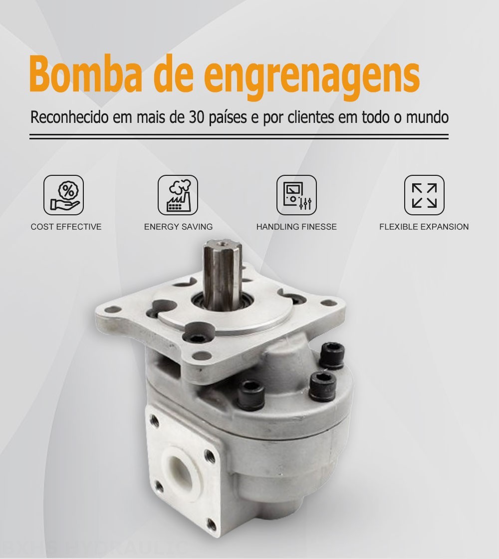 CBHS-F550 50 cc/rev Bomba de engrenagem hidráulica