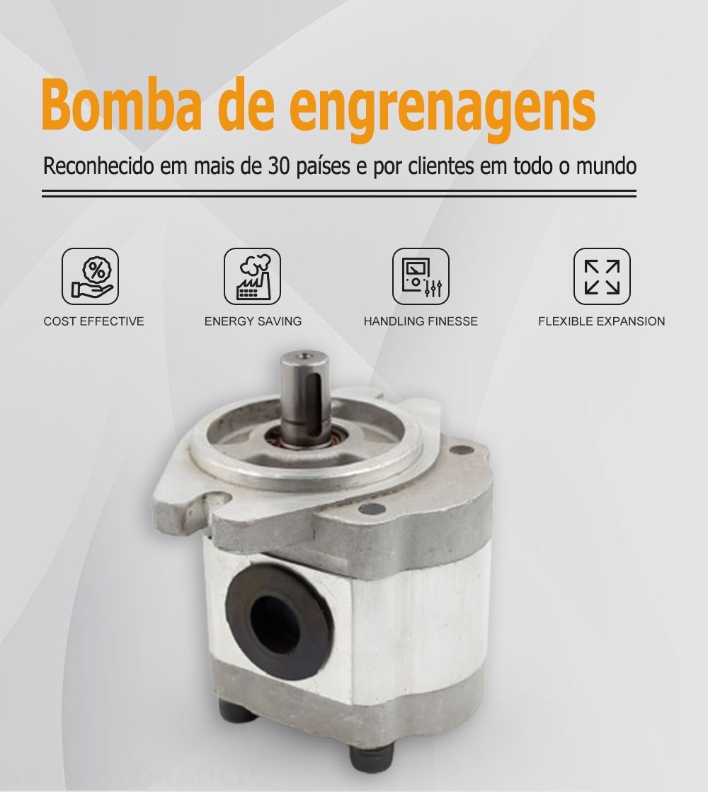 CBHS-FL-306 Deslocamento Bomba de engrenagem hidráulica