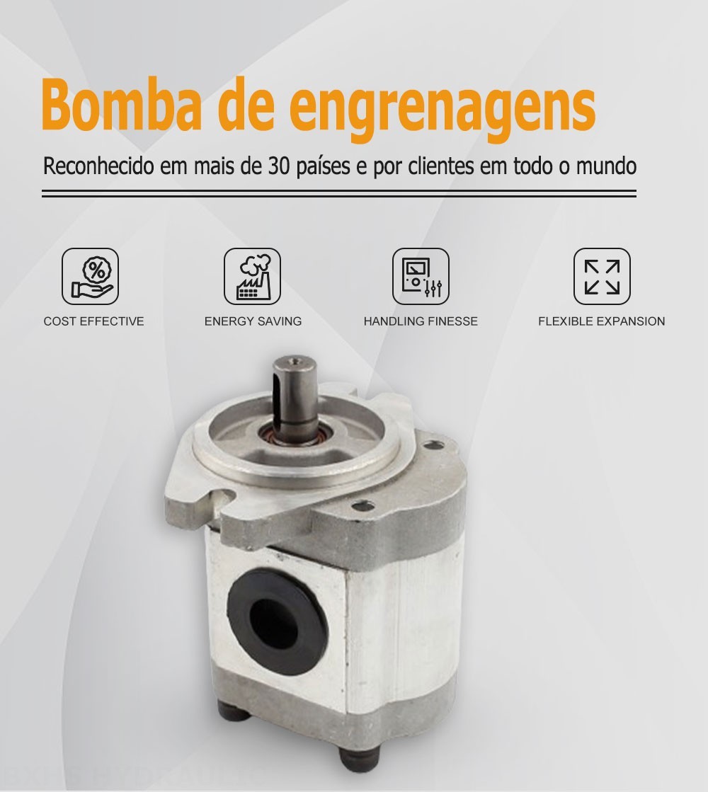 CBHS-FL-314 Deslocamento Bomba de engrenagem hidráulica