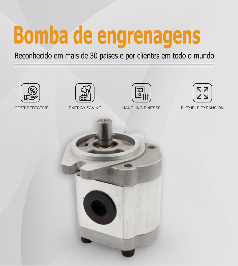 CBHS-FL-316 Deslocamento Bomba de engrenagem hidráulica