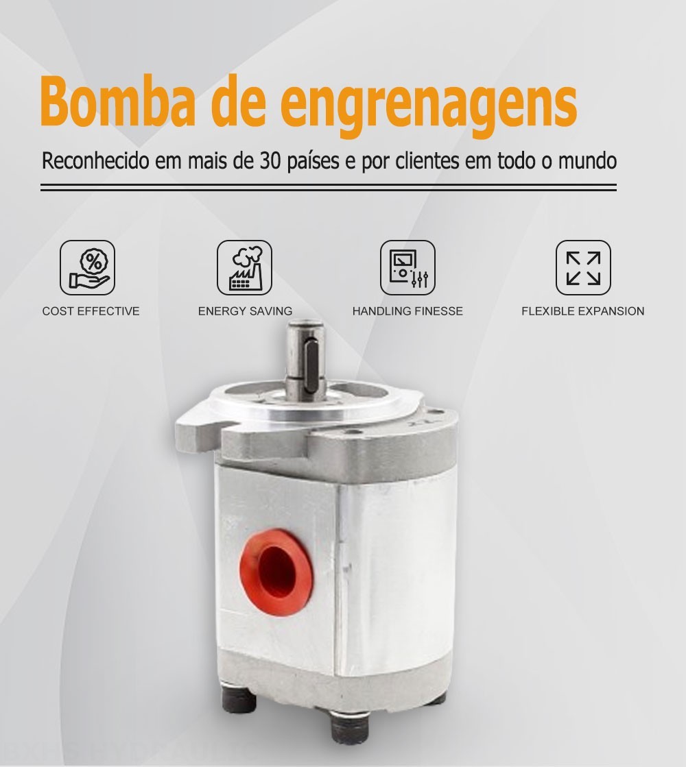 CBHS-FL304 Deslocamento Bomba de engrenagem hidráulica