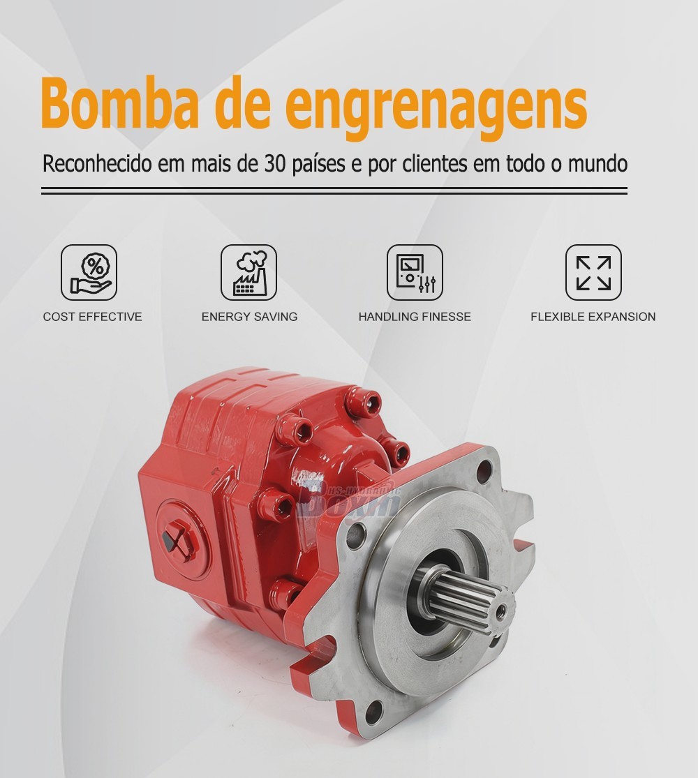CBHS3100 100 cc/rev Hydraulic Gear Pump Unit Specification