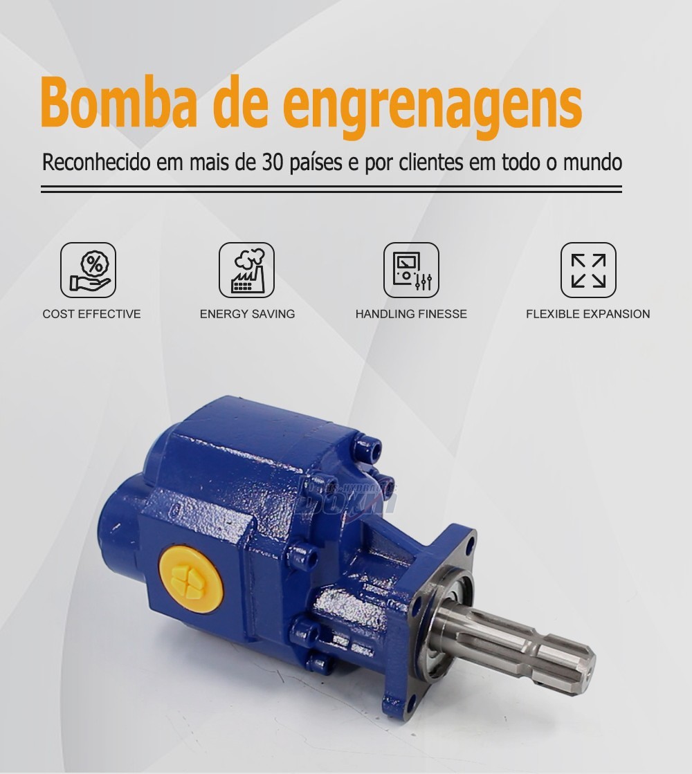 CBHST1-110-KZ 110 cc/rev Hydraulic Gear Pump for Industrial Machinery