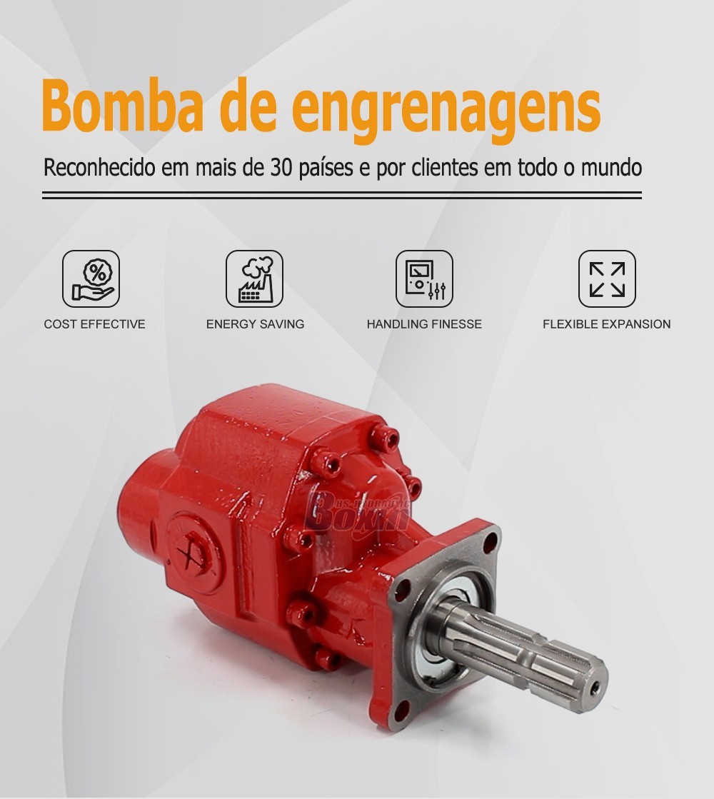 Bulk Order CBHST1-80-KZ 80 cc/rev Hydraulic Gear Pump from Certified Factory