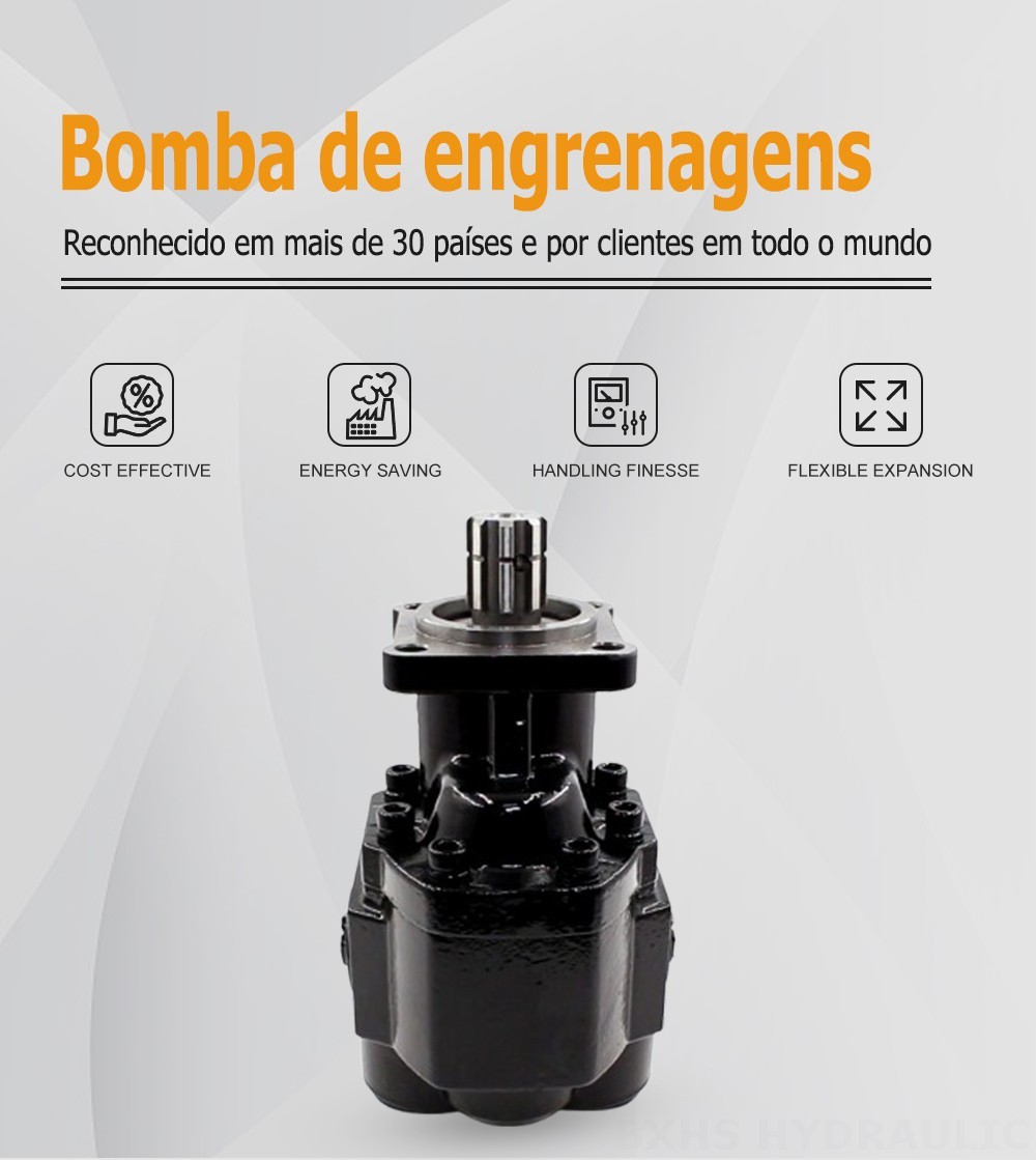 CBHST1-ISO-110 Deslocamento Bomba de engrenagem hidráulica