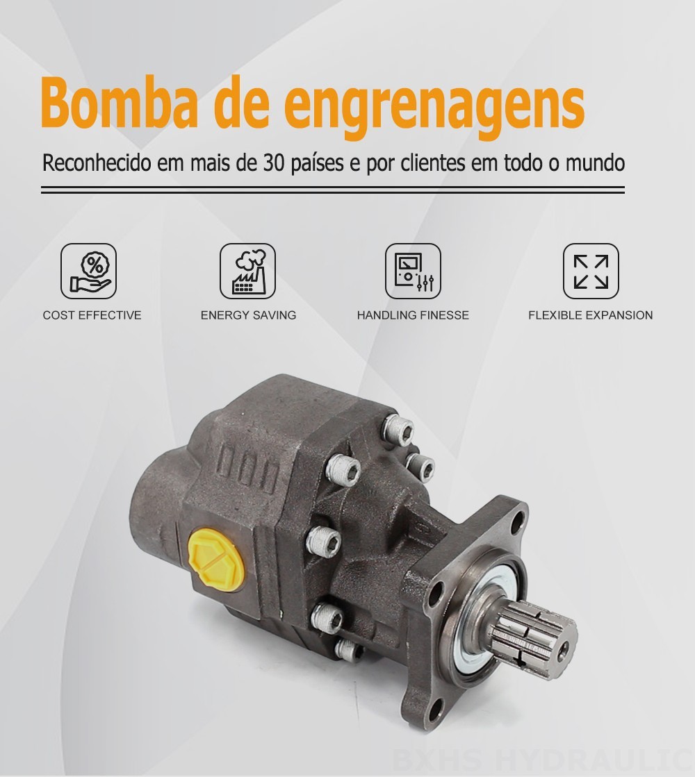 CBHW-ISO-100-Y 100 cc/rev 22 MPa (3190 psi) Bomba de engrenagem hidráulica
