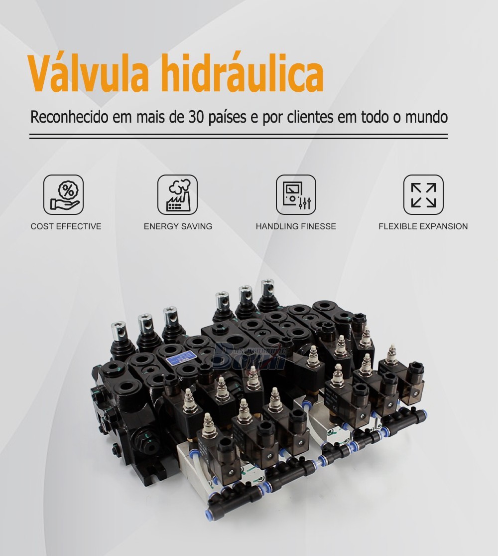 Seeking Global Distributors and Wholesalers for DCV60 6 Spool Valves