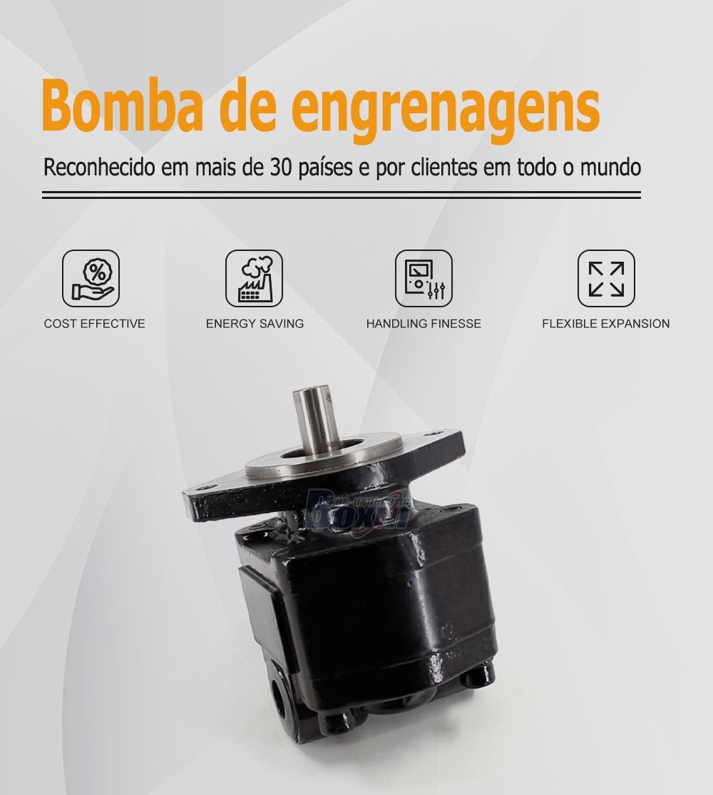 High Performance CBHS-FC25 Hydraulic External Gear Pump 25cc
