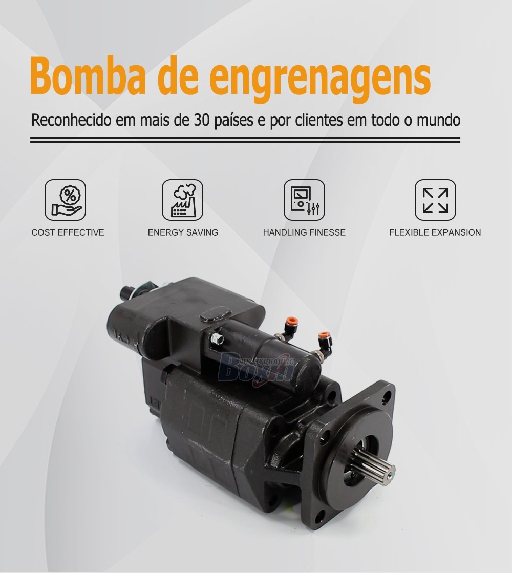 Custom OEM ODM Service for G102-AS 63 cc/rev Hydraulic Gear Pump with Private Labeling