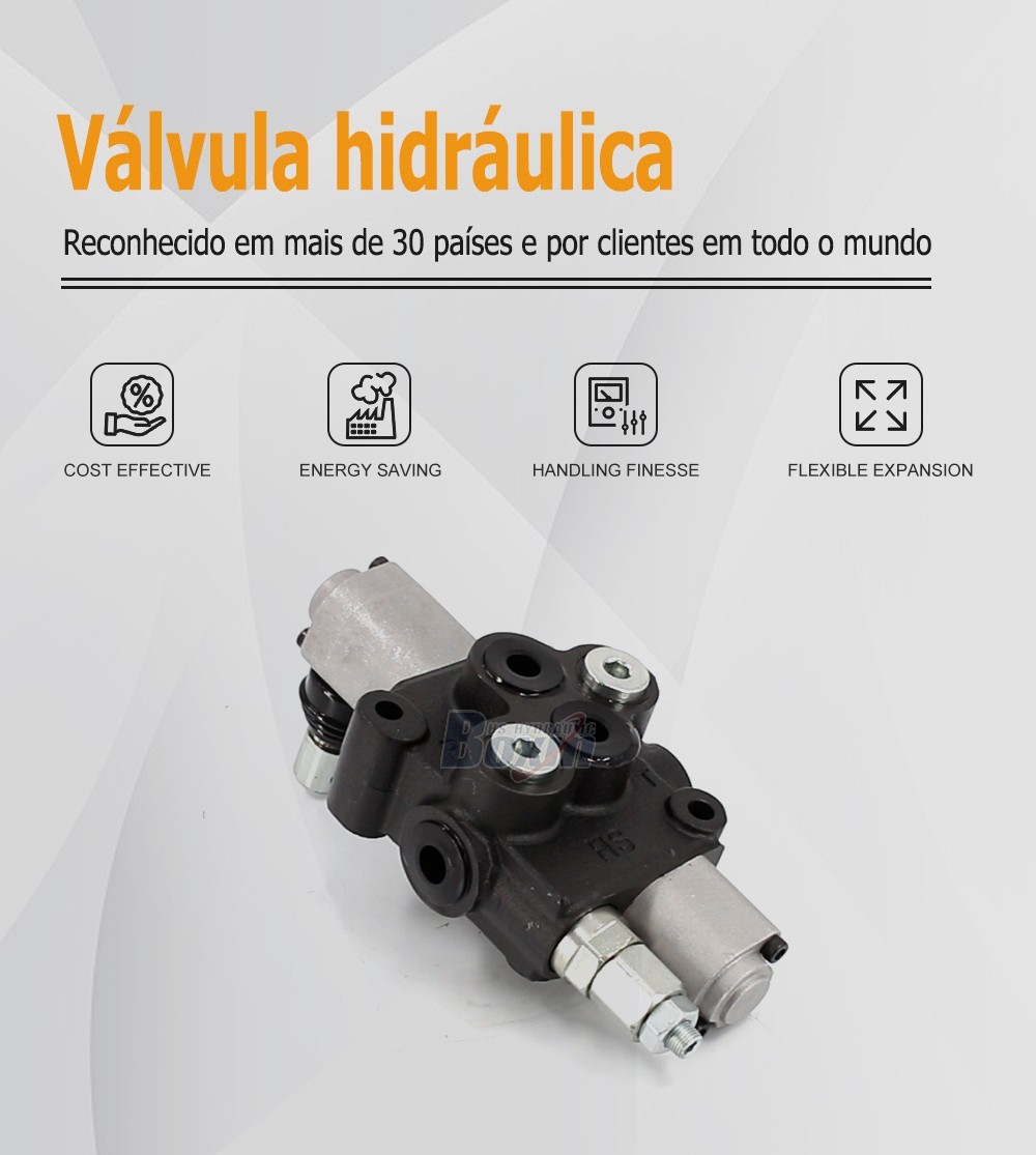 Manual Operated HS45-FZJ 1 Spool Monoblock Valve for Fluid Power