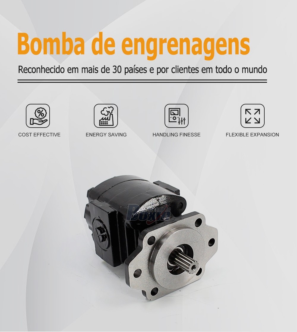 P21A646JEAL20-25 64.6 cc/rev Hydraulic Gear Pump for Industrial Machinery