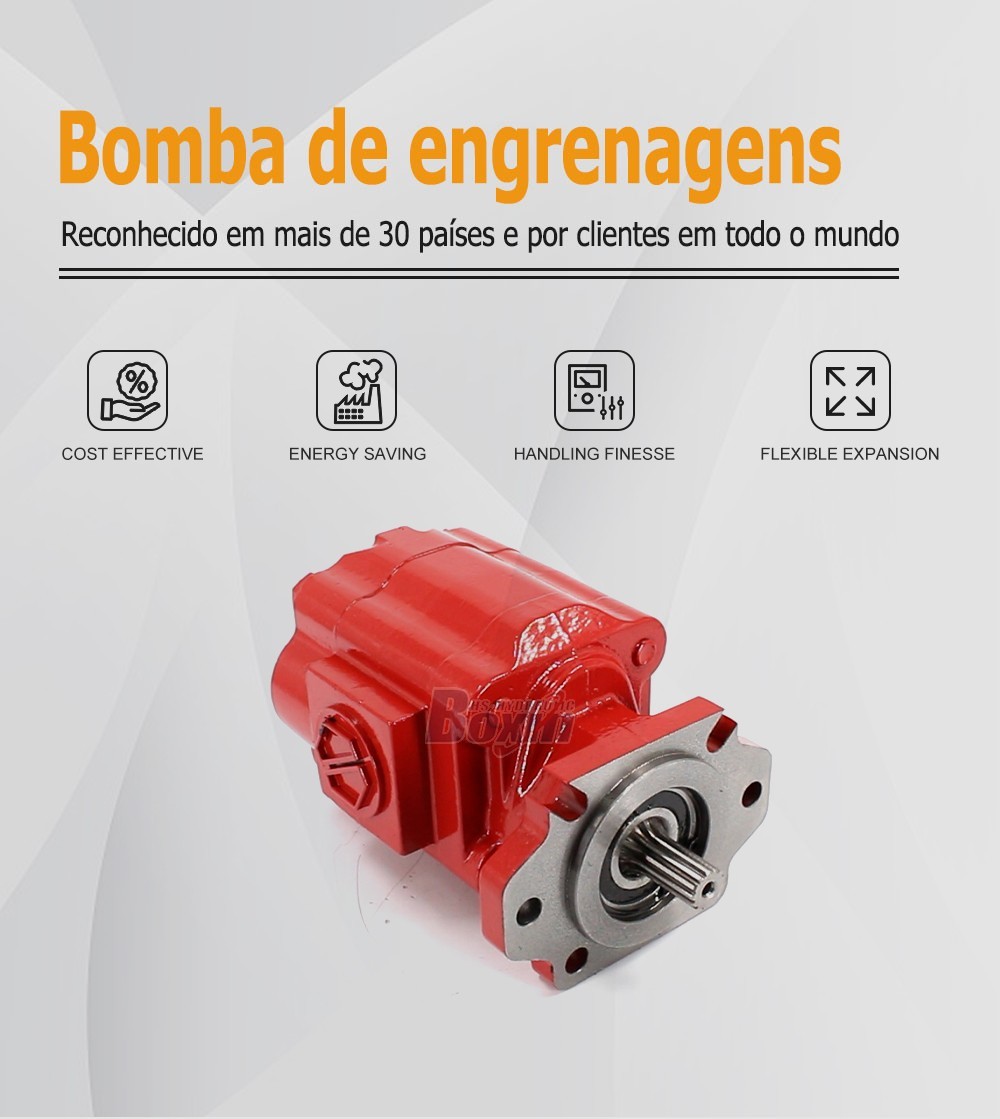 Custom OEM/ODM Service for P51A646TEYR25-25-H 104.5 cc/rev Hydraulic Gear Pump with Private Labeling