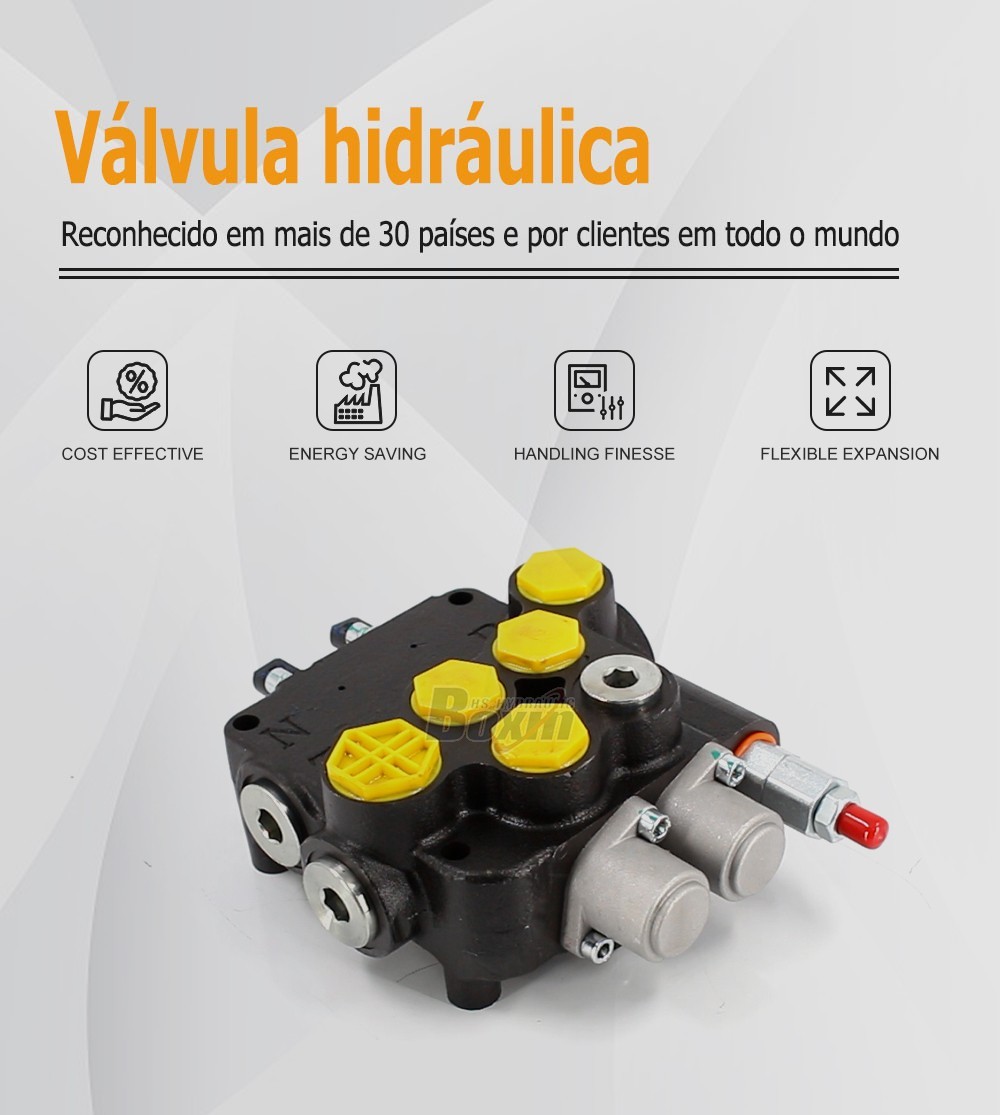 Strategic Partnership Opportunities for P80A-G-BT-OT Hydraulic Valves