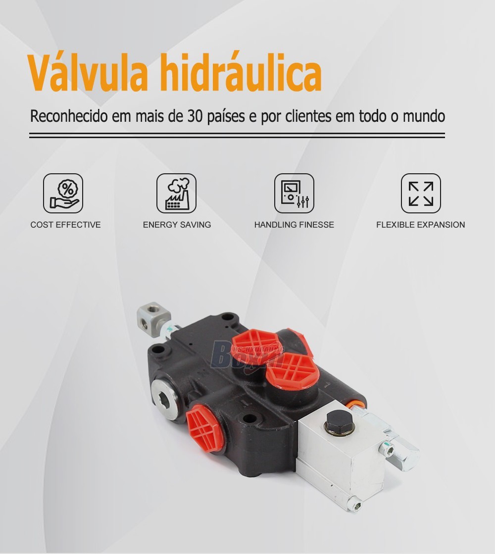 P80A-OX 1 Spool Monoblock Directional Valve for Heavy Machinery