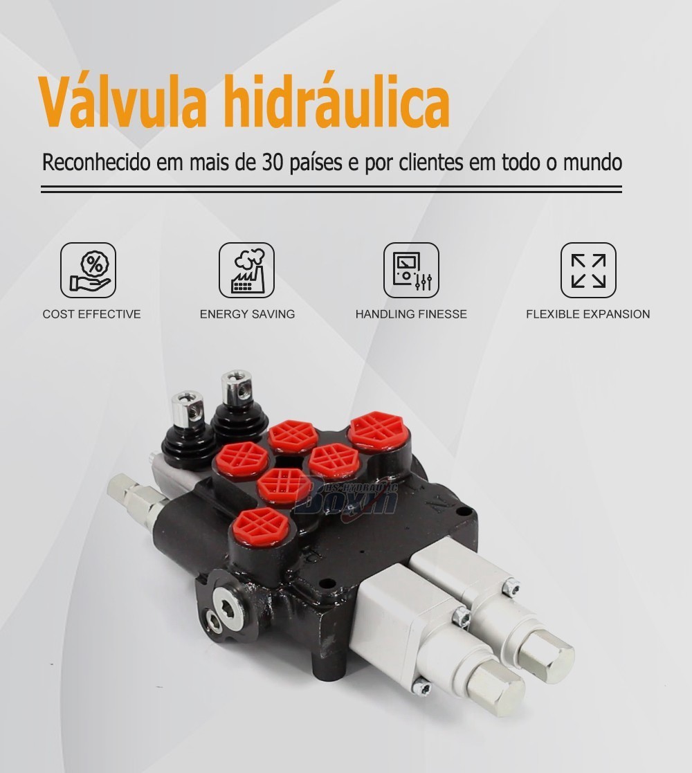 High Performance P80AFT-2QTW1 Monoblock Valve 2 Spool Control Valve