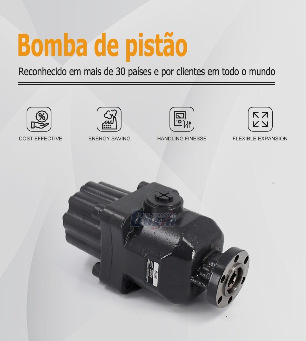 OEM/ODM Custom P9-80SK 80 cc/rev Hydraulic Piston Pump with Private Labeling