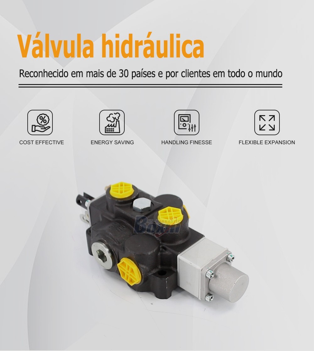 Seeking Global Distributors and Wholesalers for RD5100NPT-QTW Manual Hydraulic Valve