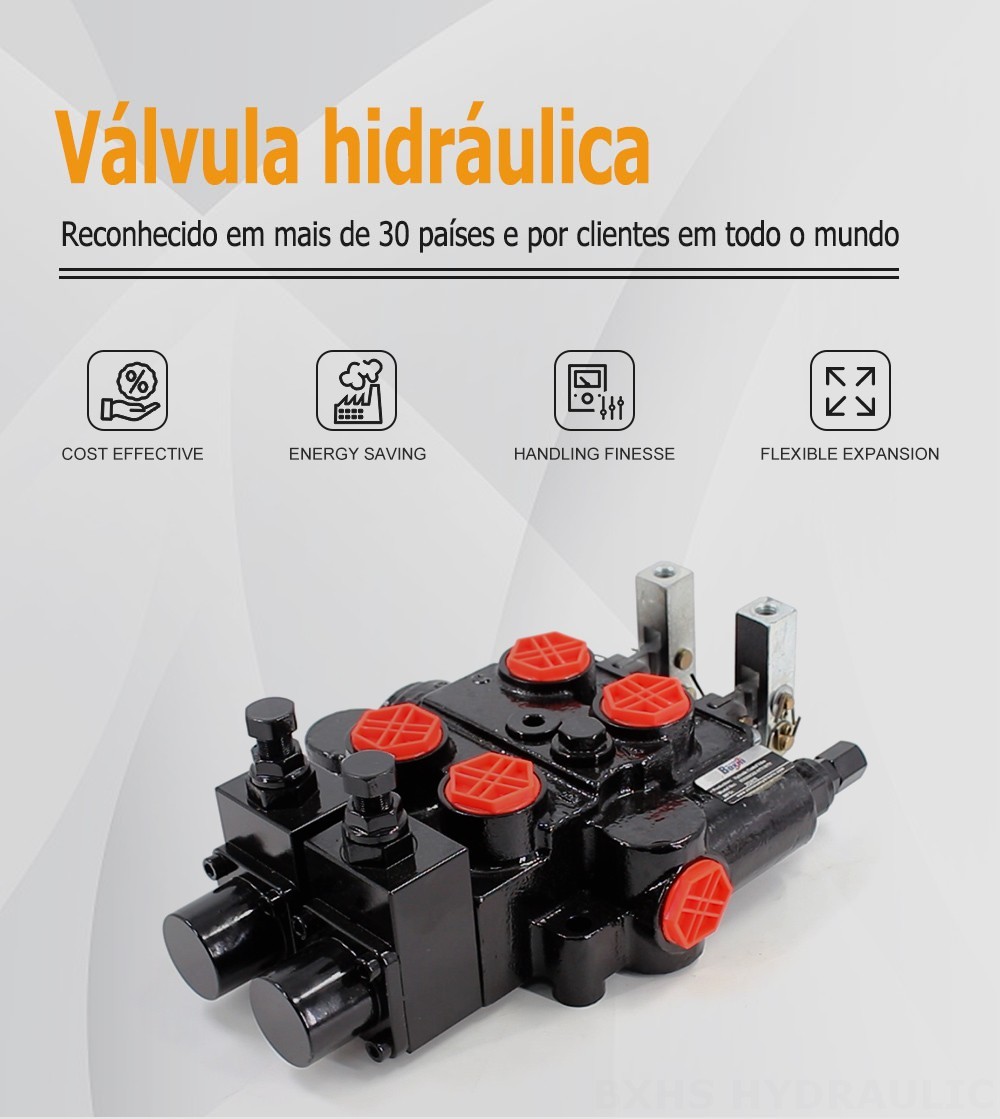 RD5200-OU2 Manual 2 carretéis Válvula de Controle Hidráulico